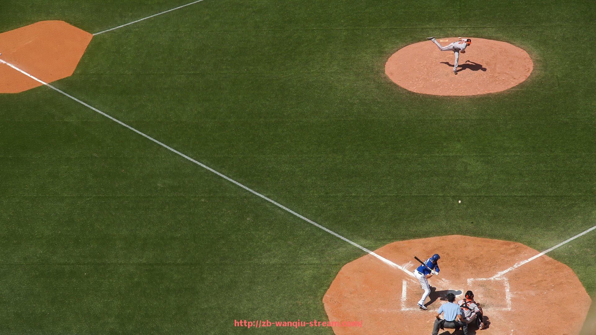 玩球直播-日本健身器材品牌的市场分析与购买建议